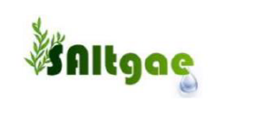 Saltgae-logo